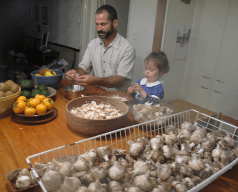 Screen Shot 2018-05-03 at 1.37.08 pm