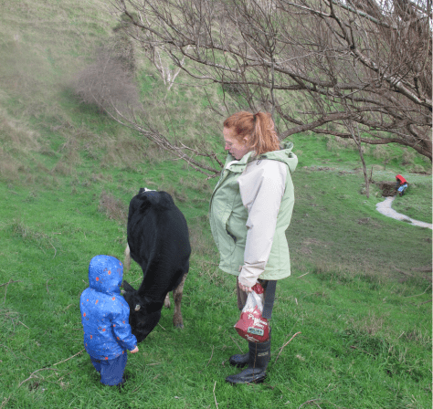 Screen Shot 2018-05-03 at 1.38.17 pm