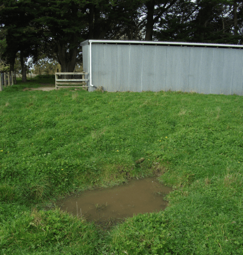 Screen Shot 2018-05-07 at 6.48.58 am