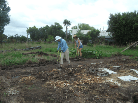 Screen Shot 2018-05-07 at 6.52.13 am