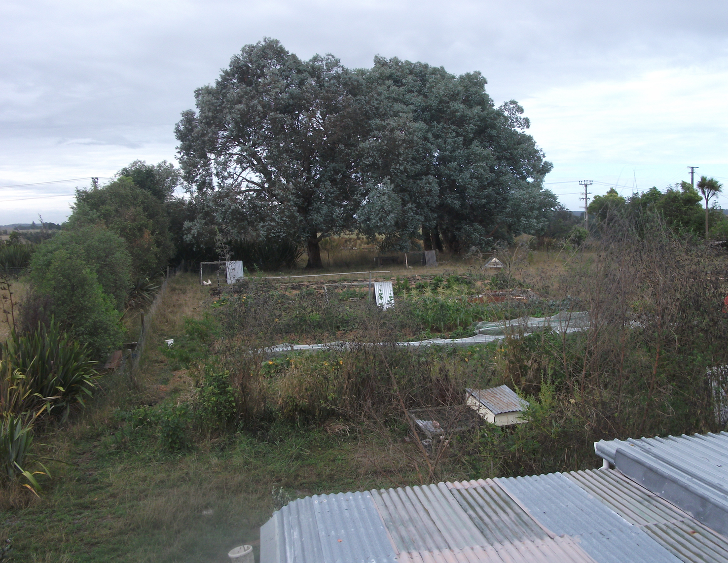 Screen Shot 2018-05-07 at 6.53.05 am