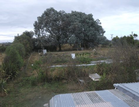 Screen Shot 2018-05-07 at 6.53.05 am