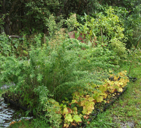 Screen Shot 2018-05-07 at 7.07.15 am