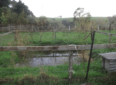 Screen Shot 2018-05-21 at 6.02.04 am