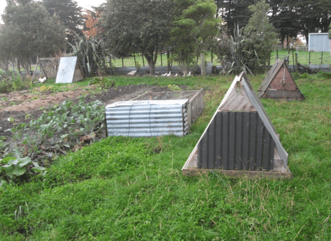 Screen Shot 2018-05-21 at 6.02.17 am