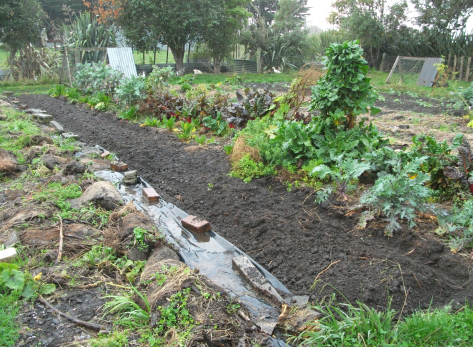 Screen Shot 2018-05-21 at 6.02.30 am