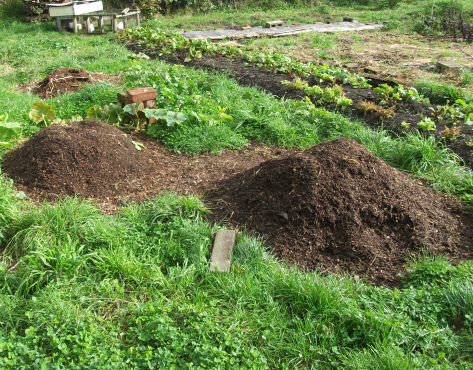 Screen Shot 2018-05-21 at 6.02.59 am