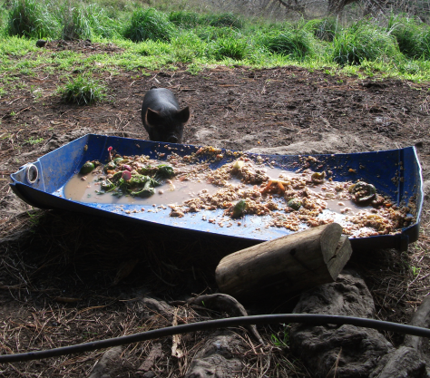 Screen Shot 2018-05-21 at 6.03.47 am