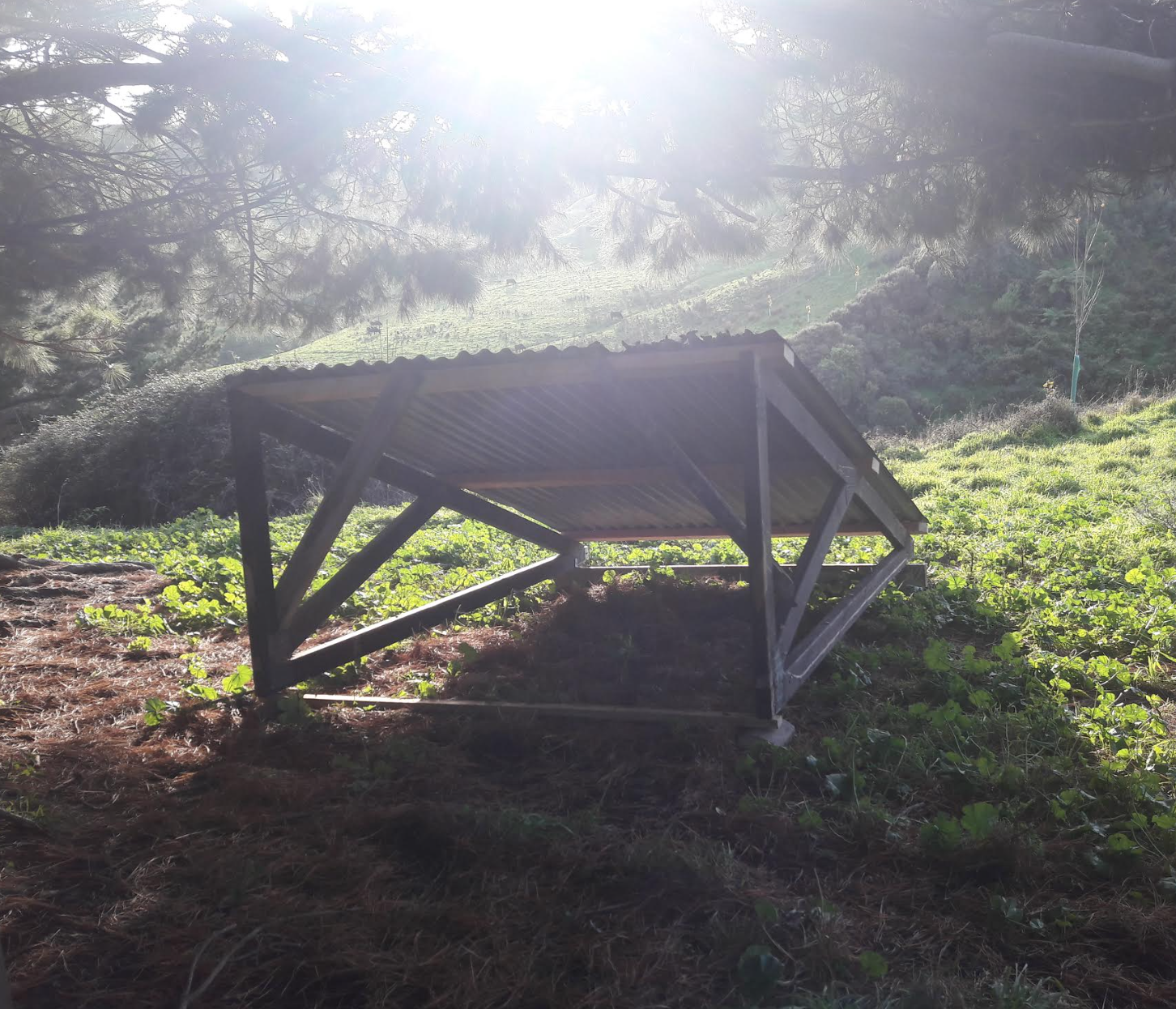 Screen Shot 2018-05-27 at 5.41.34 am