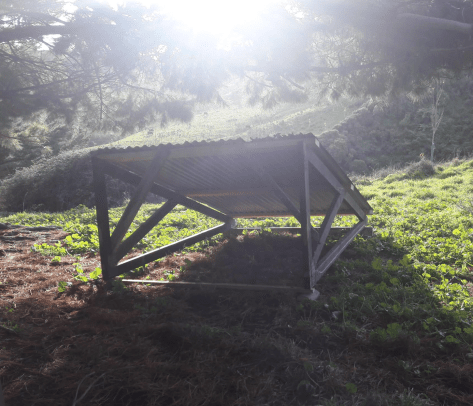 Screen Shot 2018-05-27 at 5.41.34 am