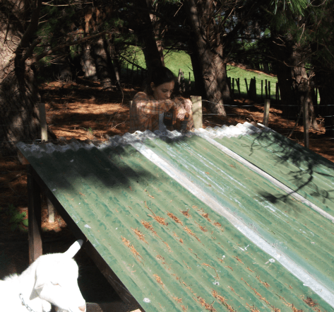 Screen Shot 2018-05-27 at 5.42.35 am