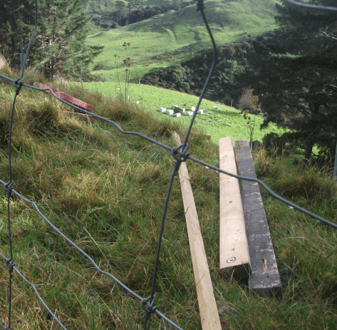 Screen Shot 2018-05-27 at 5.43.16 am