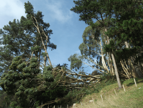 Screen Shot 2018-06-26 at 1.34.37 pm