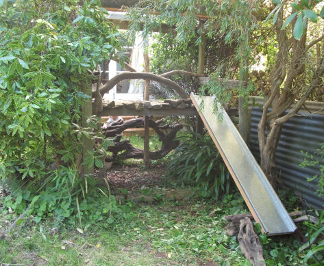 Screen Shot 2018-05-14 at 5.34.38 am