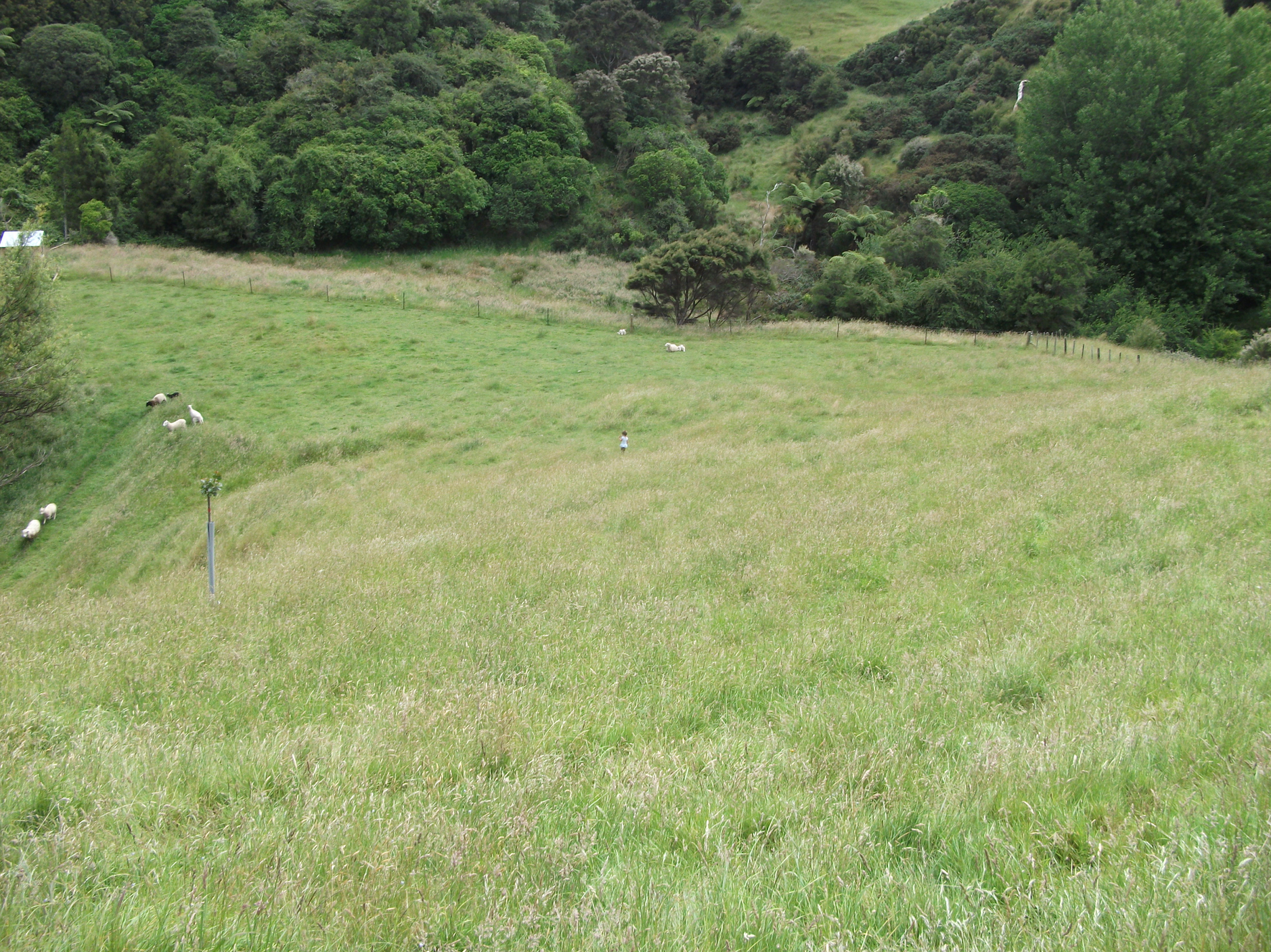 Screen Shot 2018-08-02 at 1.22.22 pm