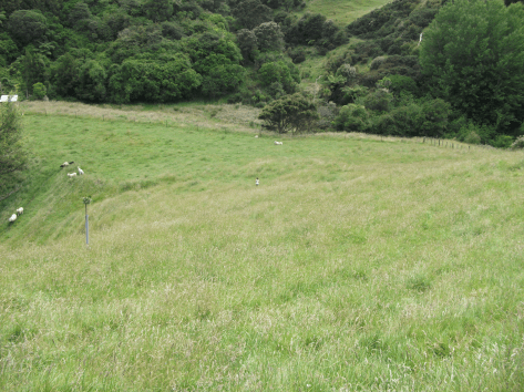 Screen Shot 2018-08-02 at 1.22.22 pm