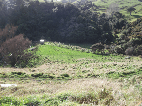 Screen Shot 2018-08-05 at 10.33.48 am