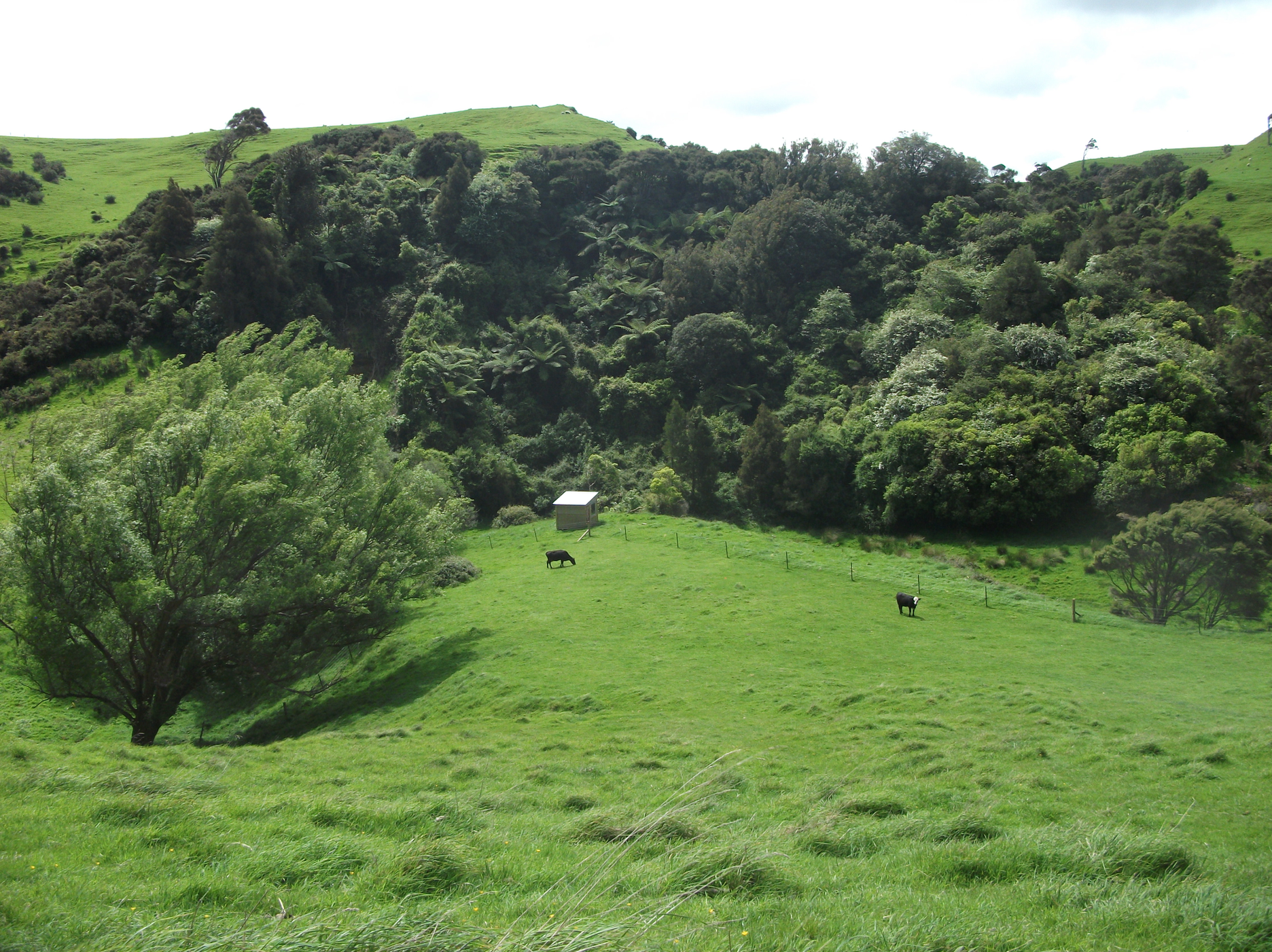 Screen Shot 2018-08-05 at 11.30.09 am