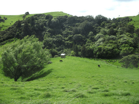 Screen Shot 2018-08-05 at 11.30.09 am