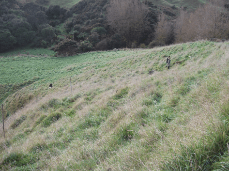 Screen Shot 2018-08-05 at 12.07.30 pm