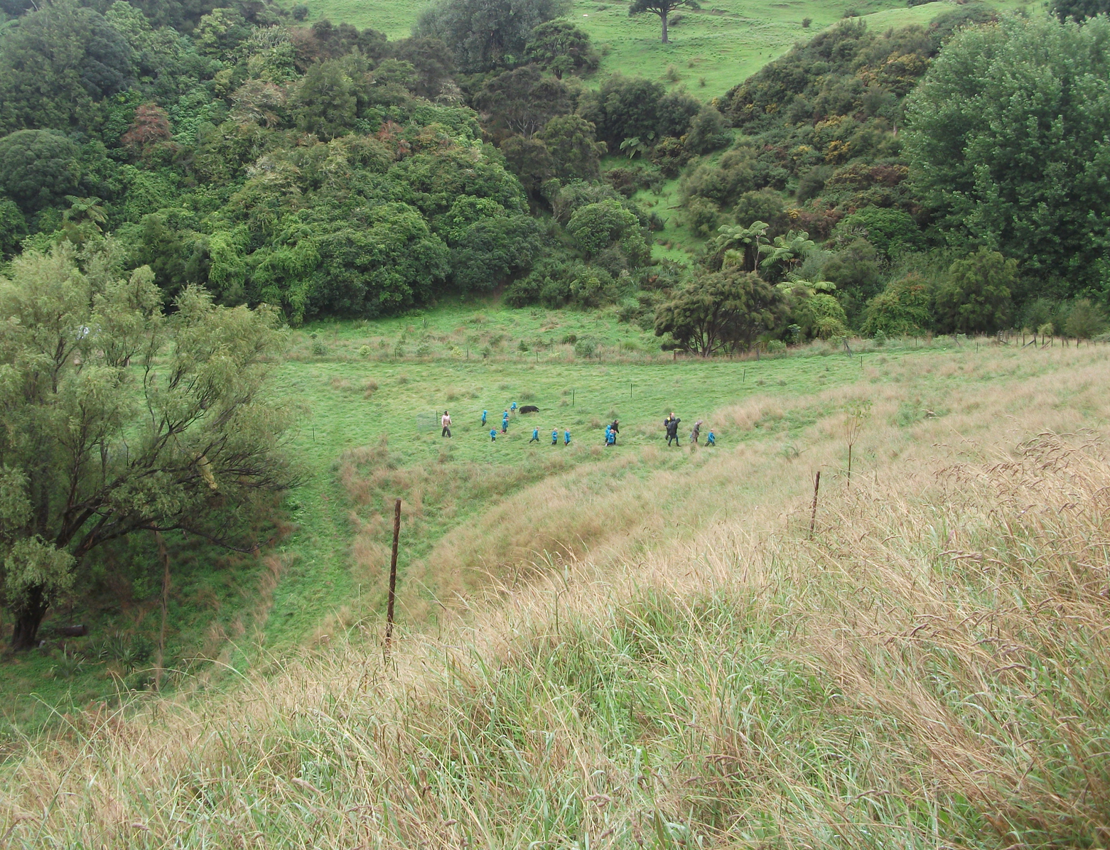 Screen Shot 2018-08-05 at 2.02.04 pm