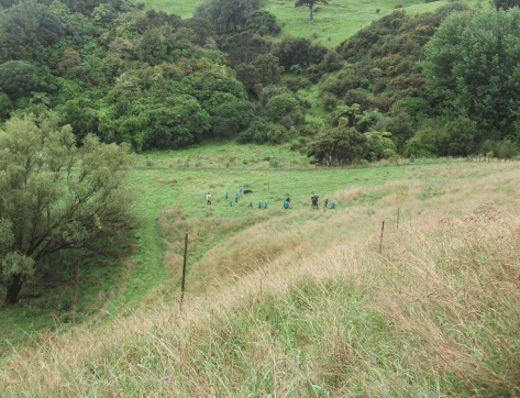 Screen Shot 2018-08-05 at 2.02.04 pm