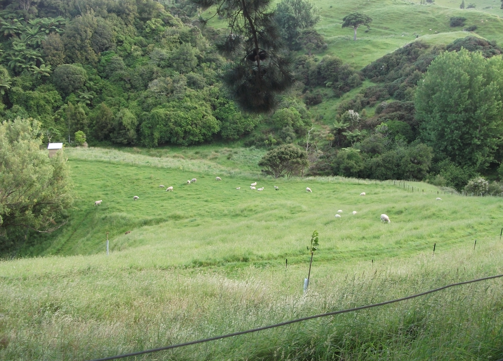 Screen Shot 2018-08-05 at 2.03.33 pm