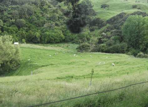 Screen Shot 2018-08-05 at 2.03.33 pm