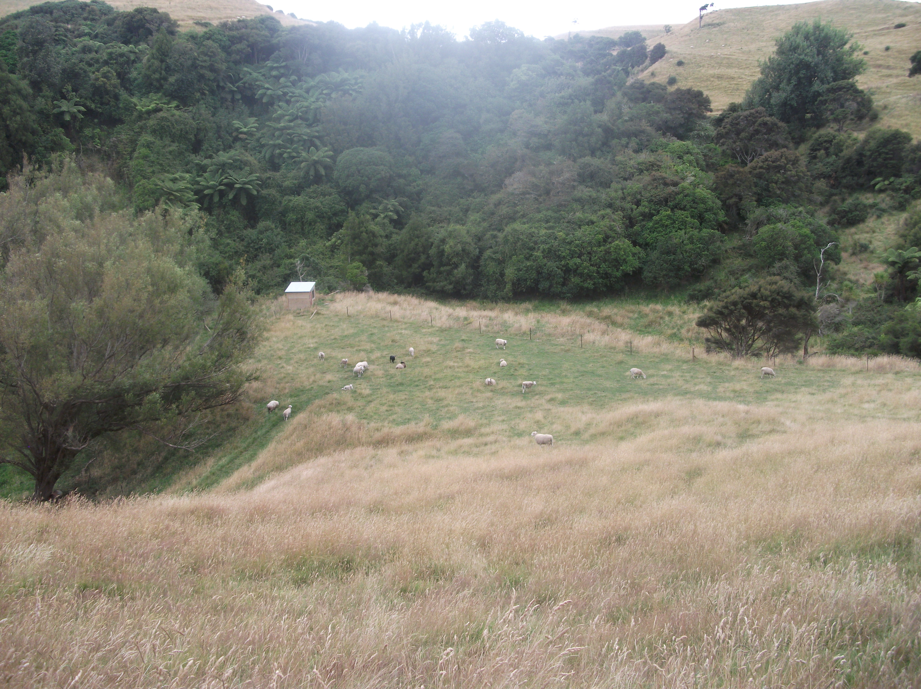 Screen Shot 2018-08-05 at 9.40.47 am