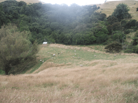 Screen Shot 2018-08-05 at 9.40.47 am