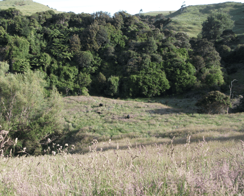 Screen Shot 2018-08-05 at 9.43.03 am