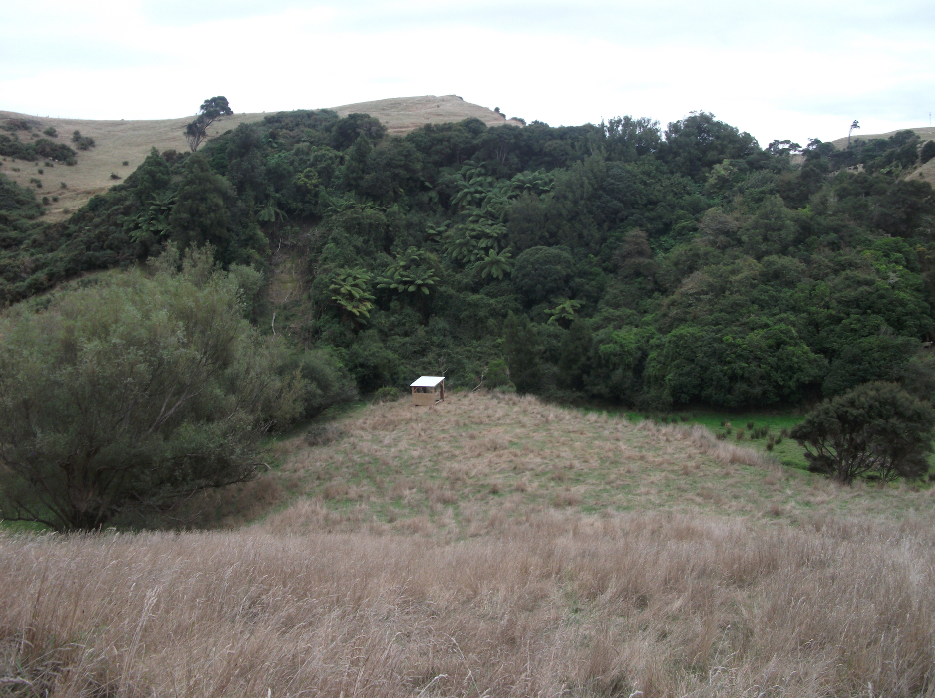 Screen Shot 2018-08-05 at 9.49.09 am