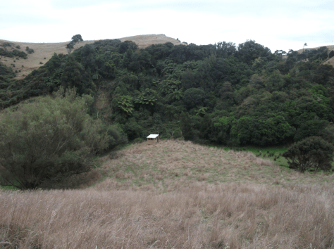 Screen Shot 2018-08-05 at 9.49.09 am