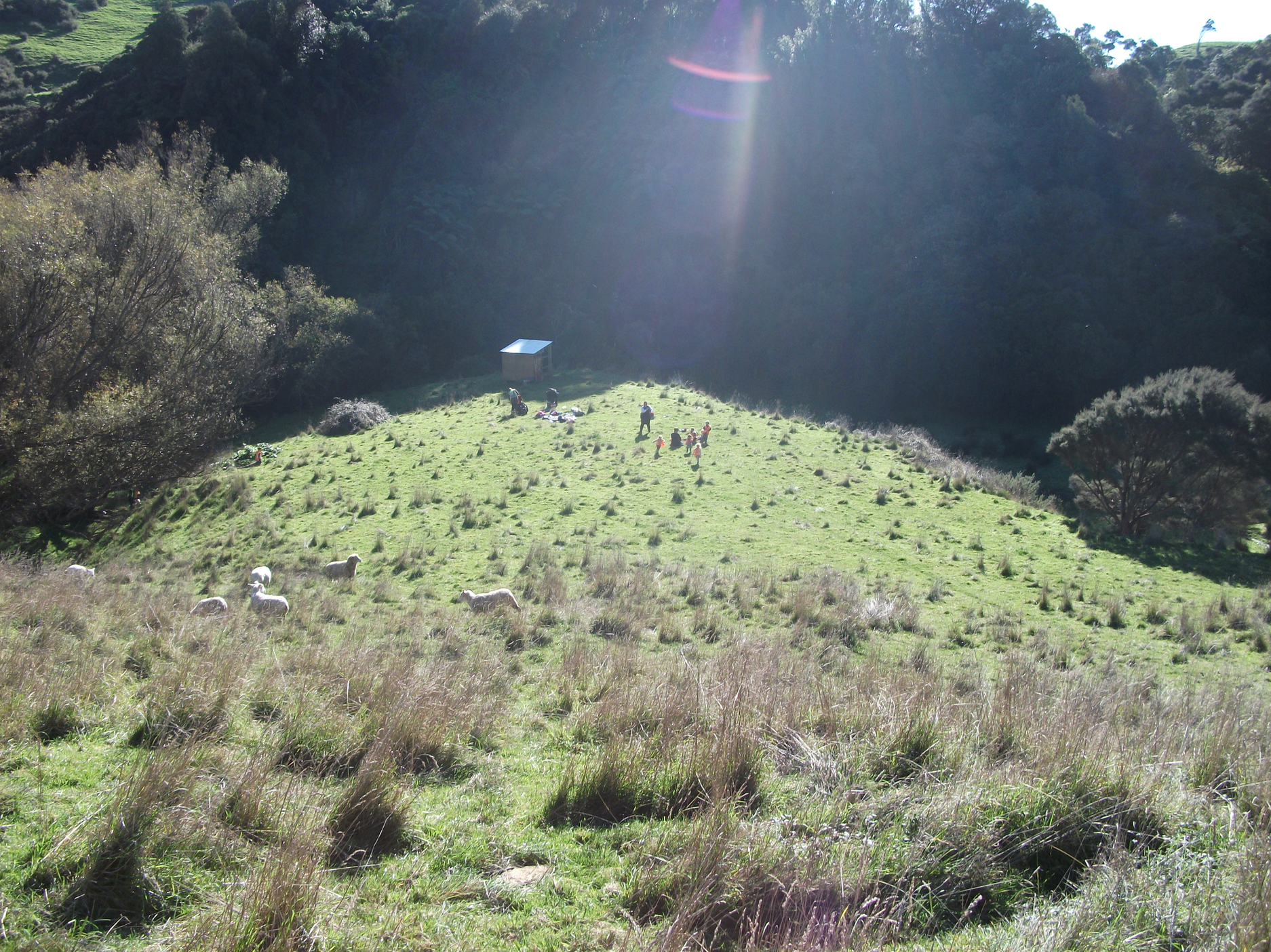 Screen Shot 2018-08-05 at 9.52.19 am