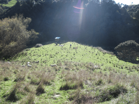 Screen Shot 2018-08-05 at 9.52.19 am