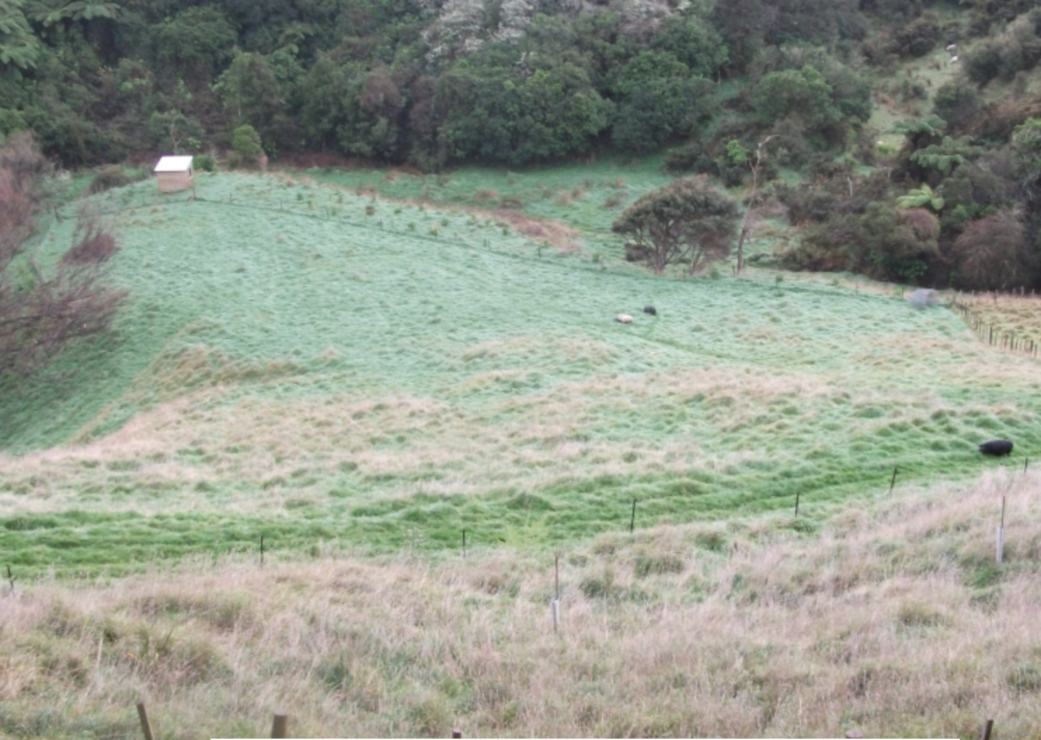 Screen Shot 2018-08-06 at 8.52.44 am