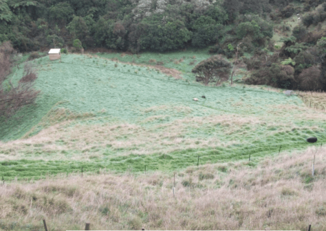 Screen Shot 2018-08-06 at 8.52.44 am