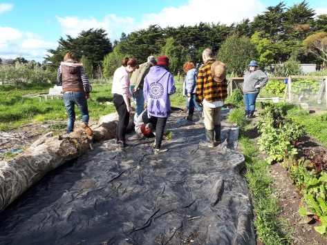 Screen Shot 2018-09-14 at 9.27.34 am