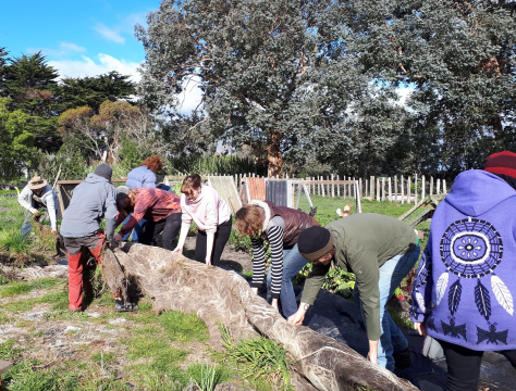 Screen Shot 2018-09-14 at 9.28.03 am