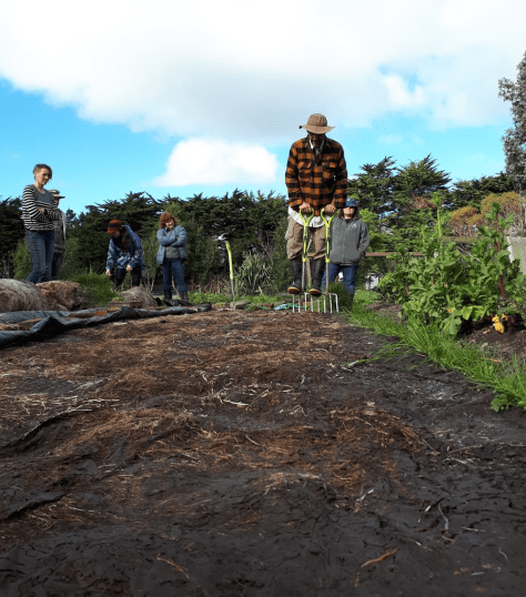 Screen Shot 2018-09-14 at 9.29.36 am