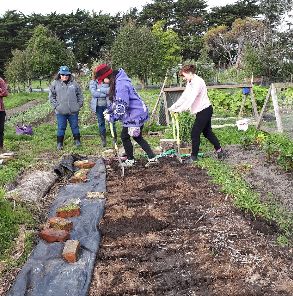 Screen Shot 2018-09-14 at 9.31.23 am