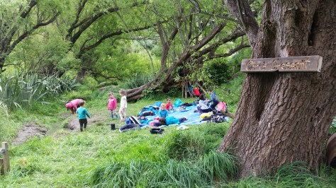 20181010_125543 copy