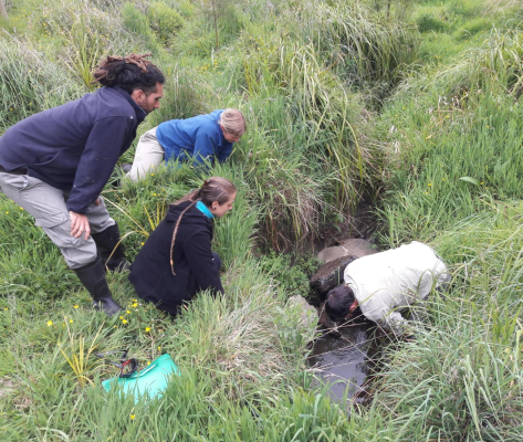 Screen Shot 2018-10-25 at 5.57.07 am