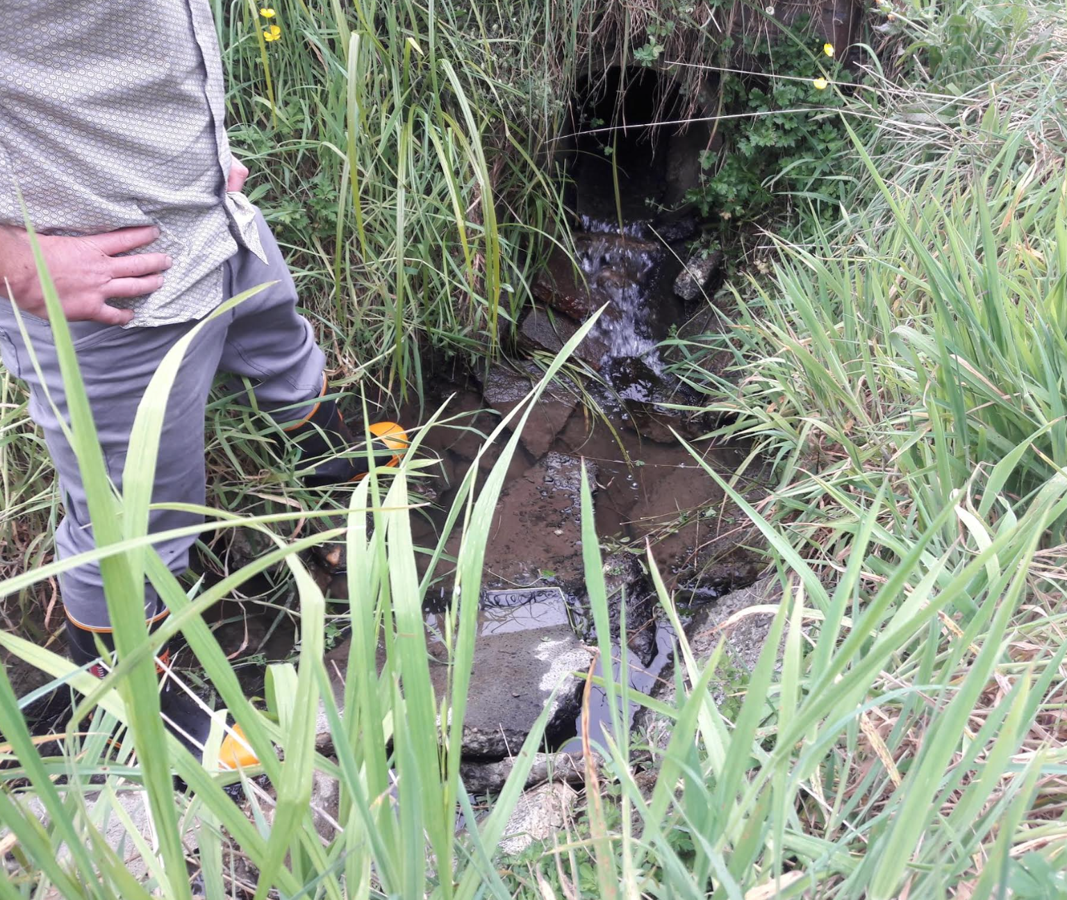 Screen Shot 2018-10-25 at 5.57.28 am