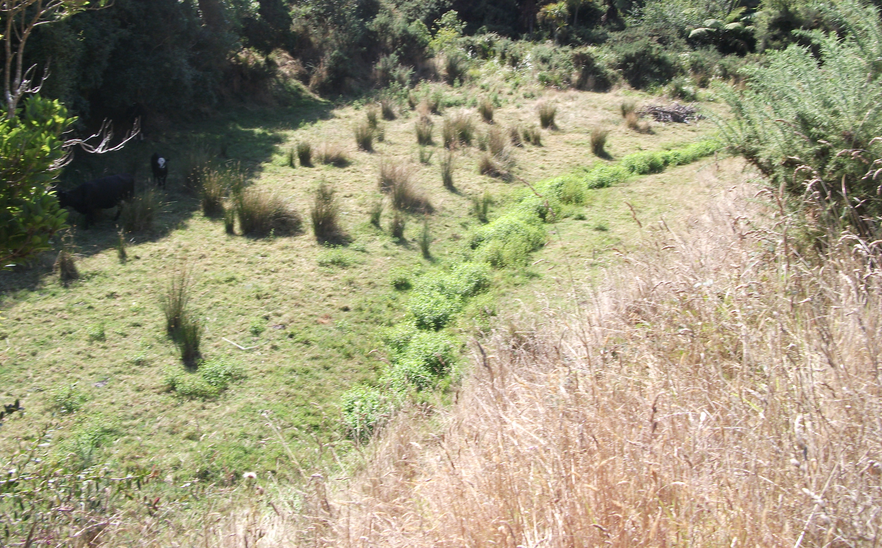 Screen Shot 2018-10-28 at 6.17.36 am