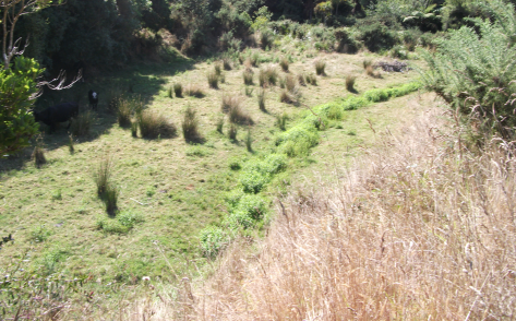 Screen Shot 2018-10-28 at 6.17.36 am