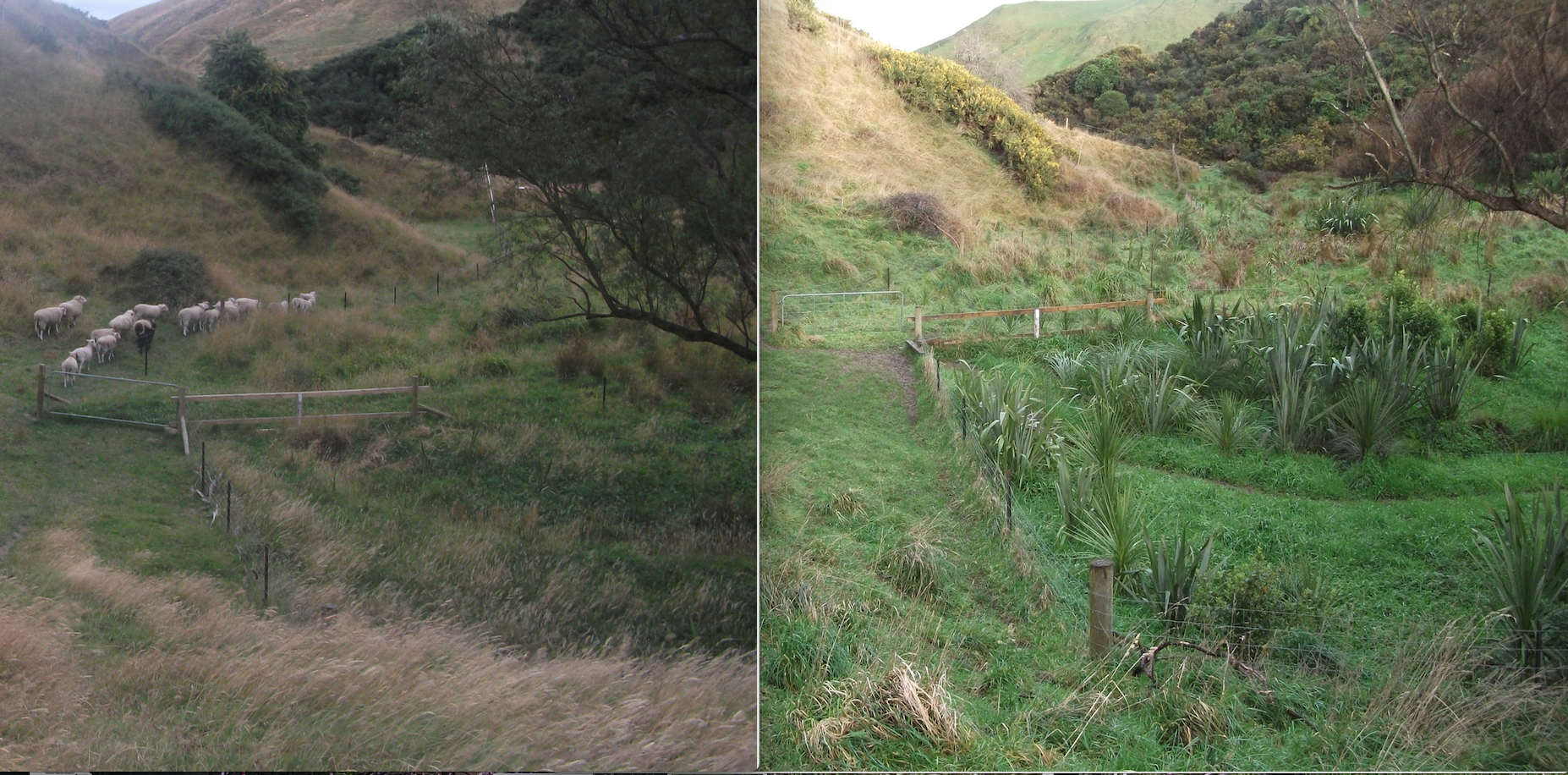 Screen Shot 2018-10-28 at 6.38.37 am