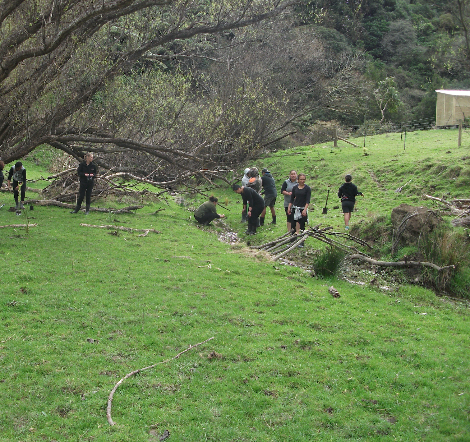 Screen Shot 2018-10-28 at 6.40.51 am