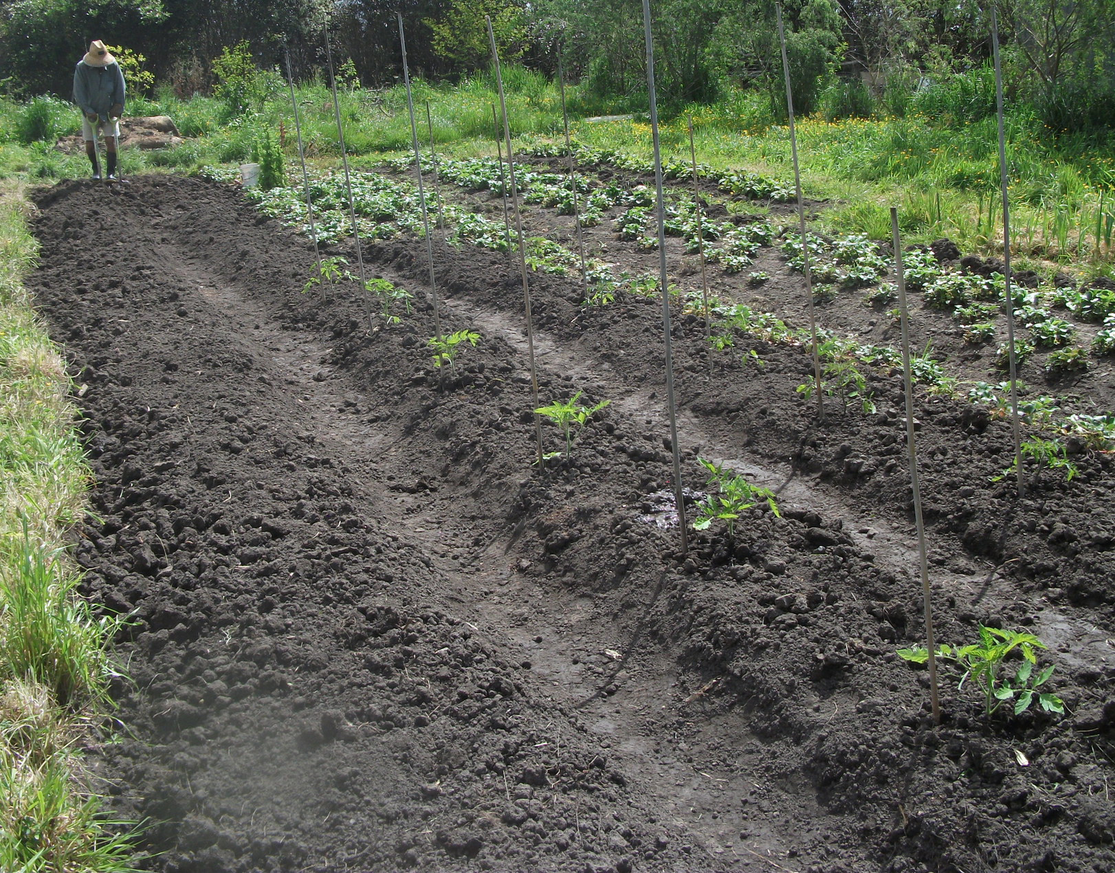 Screen Shot 2018-11-01 at 7.02.38 am