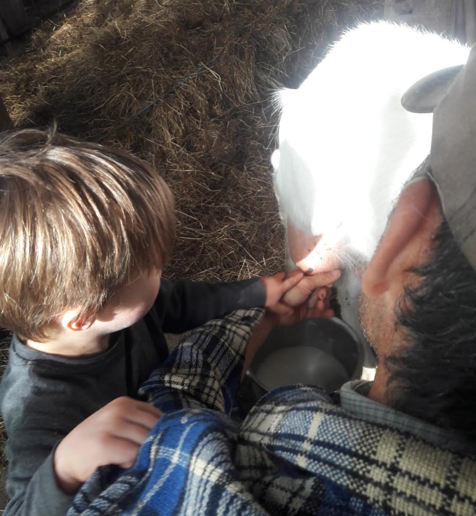 Screen Shot 2018-11-20 at 6.44.21 am